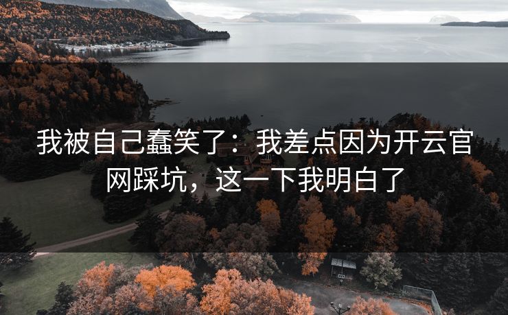 我被自己蠢笑了：我差点因为开云官网踩坑，这一下我明白了